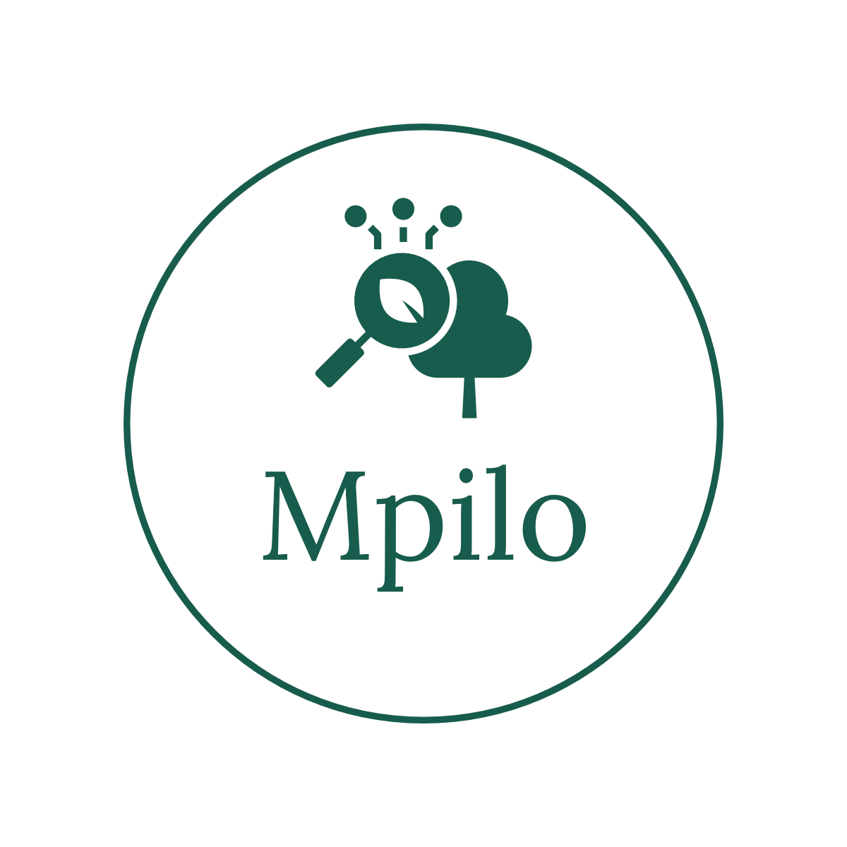 Personal website of Mpilo Khumalo